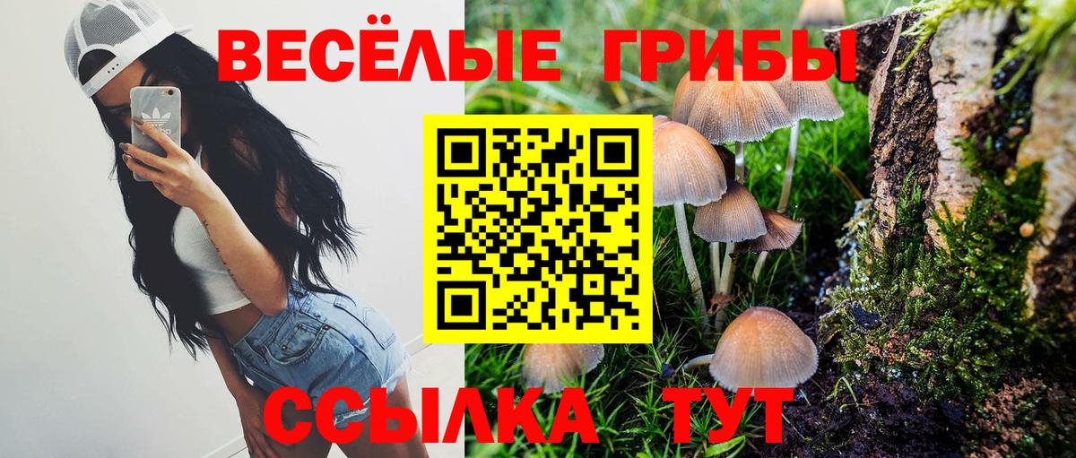 Псилоцибиновые грибы ЛСД  Вход с VPN  Псилоцибиновые грибы прущие грибы  Куйбышев 