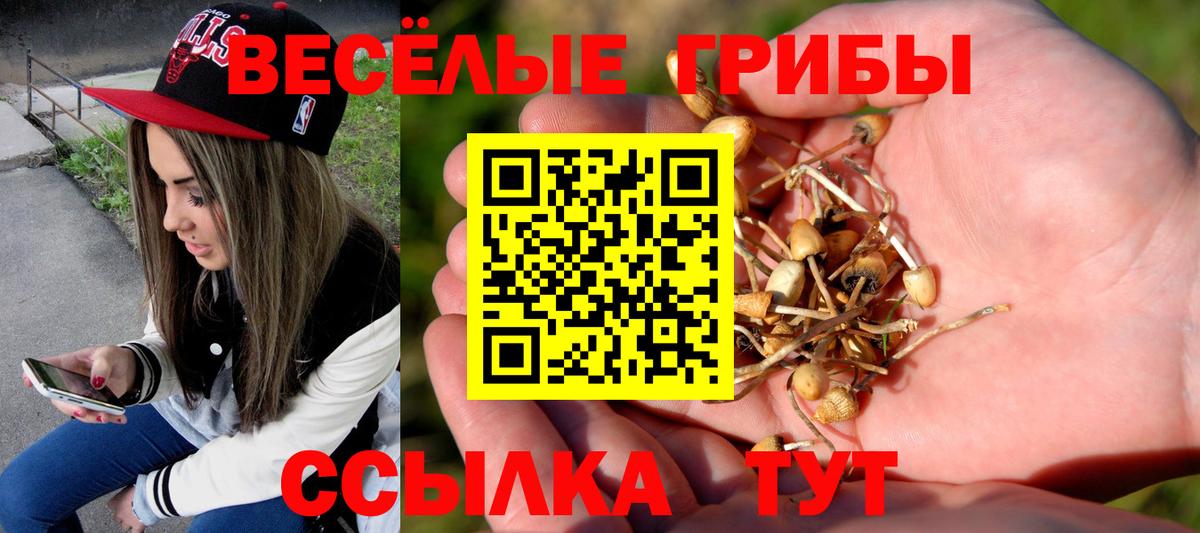 ГАШ  COCAIN  Куйбышев  МЕФ кристаллы  Вход с VPN  ГАШ  Бошки Шишки 